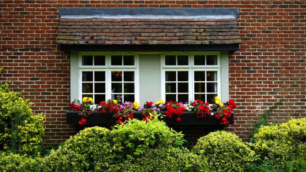 Window Improvement