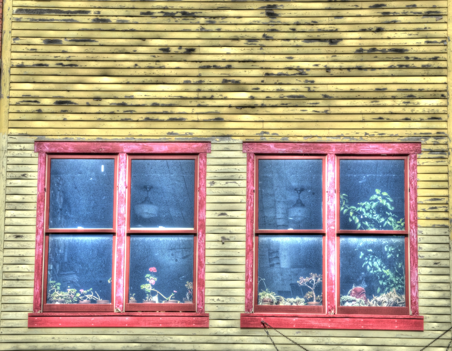 What to Look for When Getting a Window Replacement