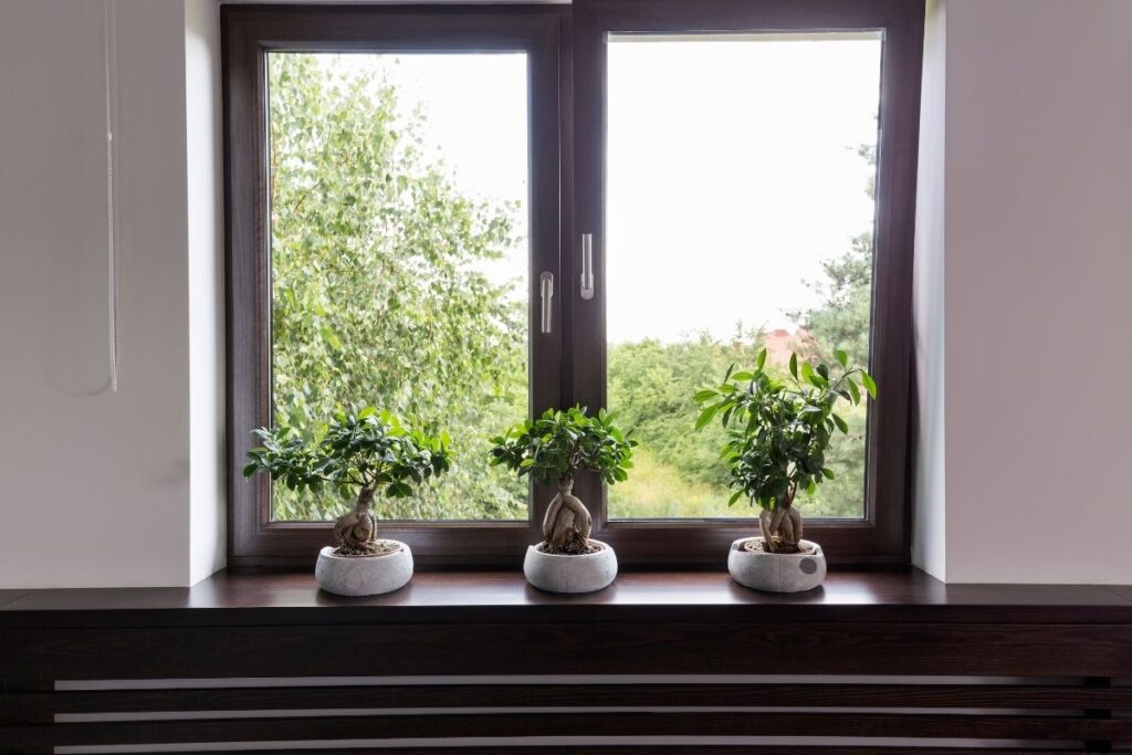 Hurricane impact windows