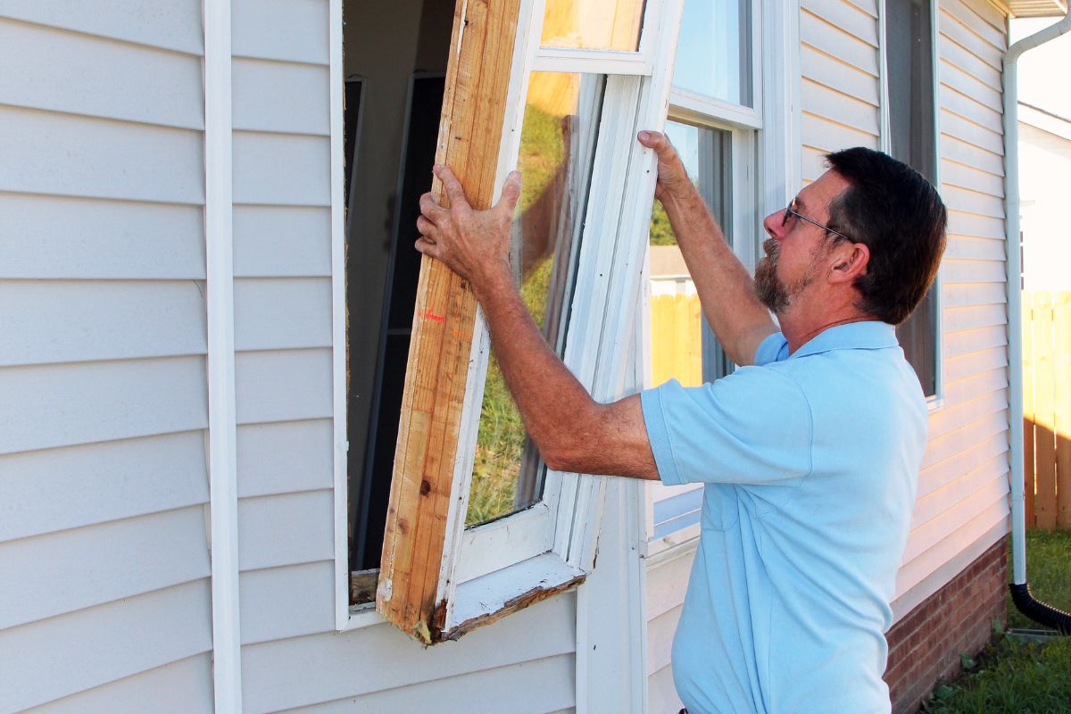 Window Replacement Service